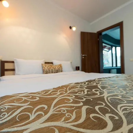 Amira House Villa Brasov